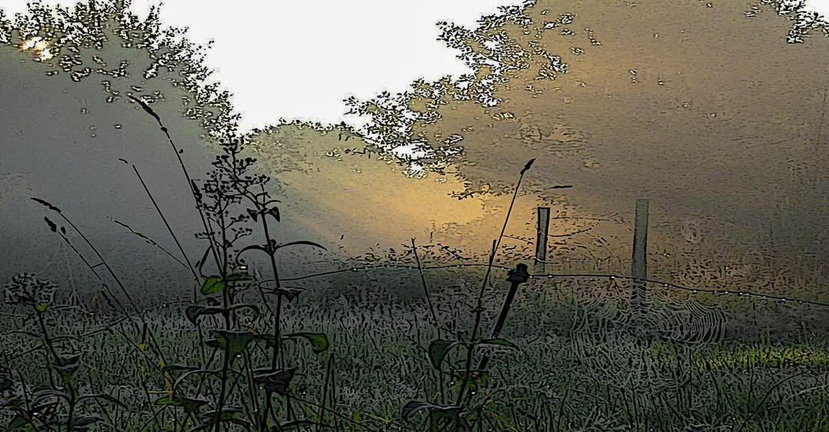 Technique Morphyl-Peinture et laque contemporaine Tableau réalisé avec la technique Morphyl, une peinture acrylique gaufrée contemporaine qui métamorphose la matière en oeuvre vivante